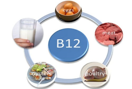 Где содержится витамин B12