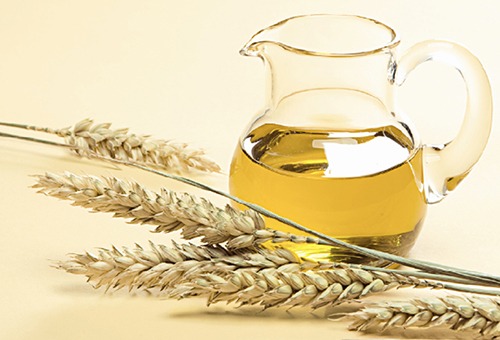 Что такое пшеничное масло?