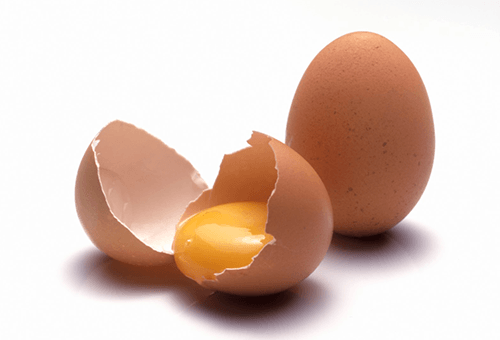 Яйцо и яичный желток